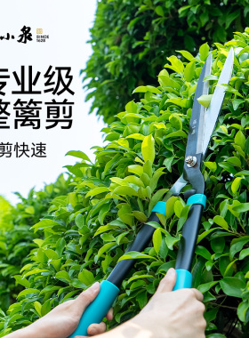 张小泉园艺剪刀整篱剪修枝剪修花剪剪树枝专用园林绿化强力大剪刀