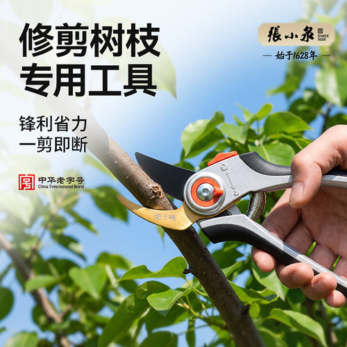 张小泉修剪树枝专用工具SK5钢修枝摘果采摘剪花艺剪园艺嫁接剪刀