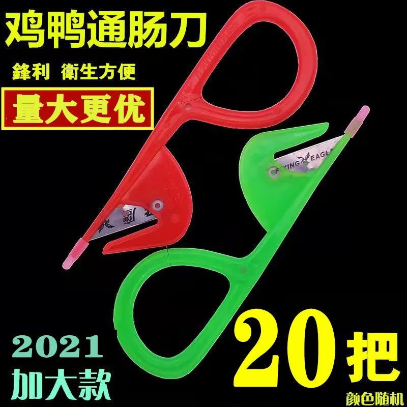 通肠器鸭肠刀鸡肠刀开肠器杀黄鳝泥鳅鱼破肠神器剖鸡鸭鹅肠通肠刮