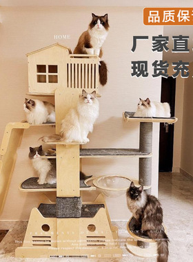 全实木猫爬架大型猫通天柱猫树一体猫抓板剑麻豪华跳台猫别墅