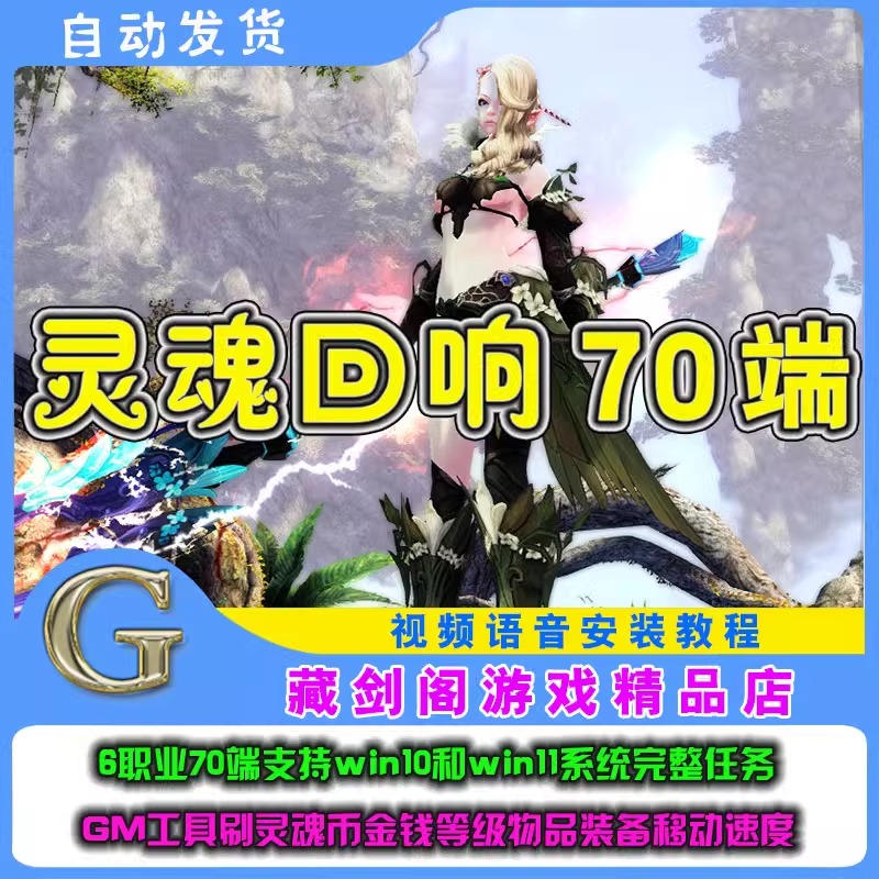 灵魂回响70端单机版6职业支持win10win11完整任务GM刷灵魂币物品