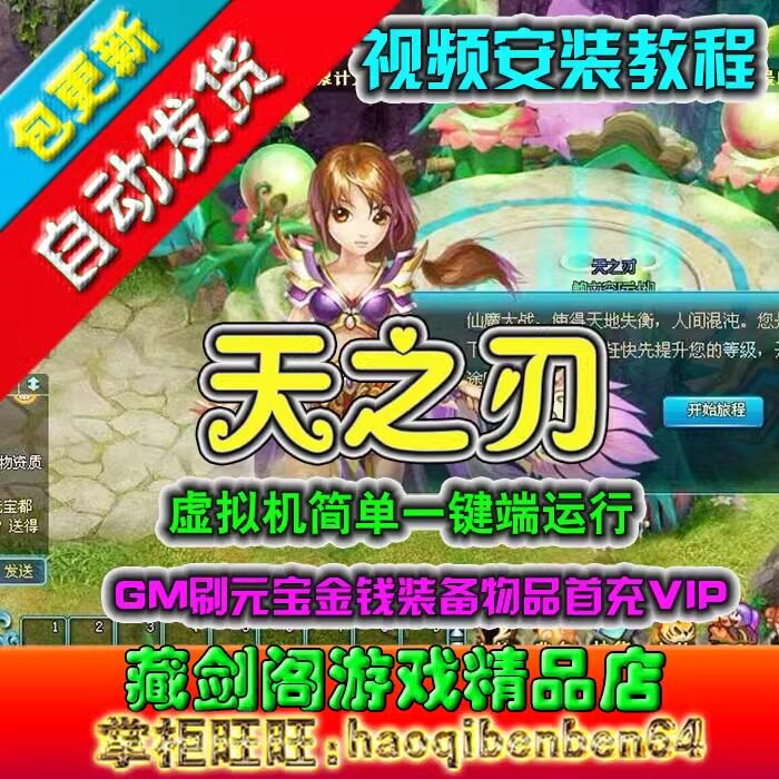 天之刃单机版网游页游镜像端一键启动GM元宝金钱装备物品VIP图片