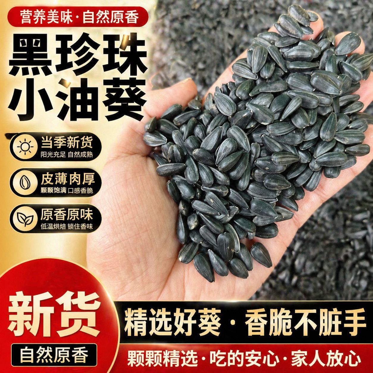 新油葵黑瓜子鹦鹉鸟粮饲料玄凤牡丹小太阳和尚蜡嘴营养训练奖励