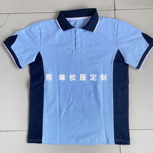 定制湖北省襄阳东津新区汉水小学夏季校服半袖上衣浅蓝色短袖T恤