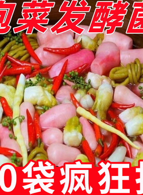 正宗泡菜菌家用乳酸菌发酵粉自制韩式辣白菜咸菜酵母四川风味蔬菜