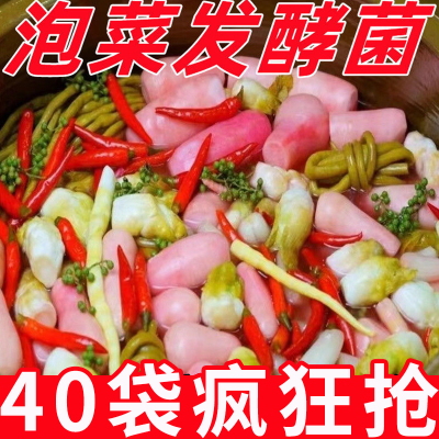 正宗泡菜菌家用乳酸菌发酵粉自制韩式辣白菜咸菜酵母四川风味蔬菜