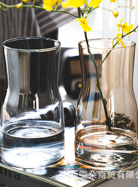 批发北欧创意ins风透明玻璃花瓶水培鲜花插花装饰品客厅家用摆件