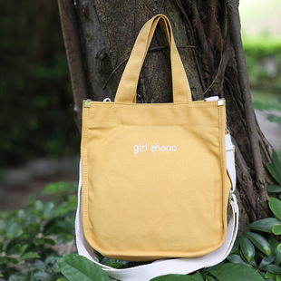 女士装ipad pro10.2寸平板电脑的帆布包收纳便携带单肩斜挎背袋子