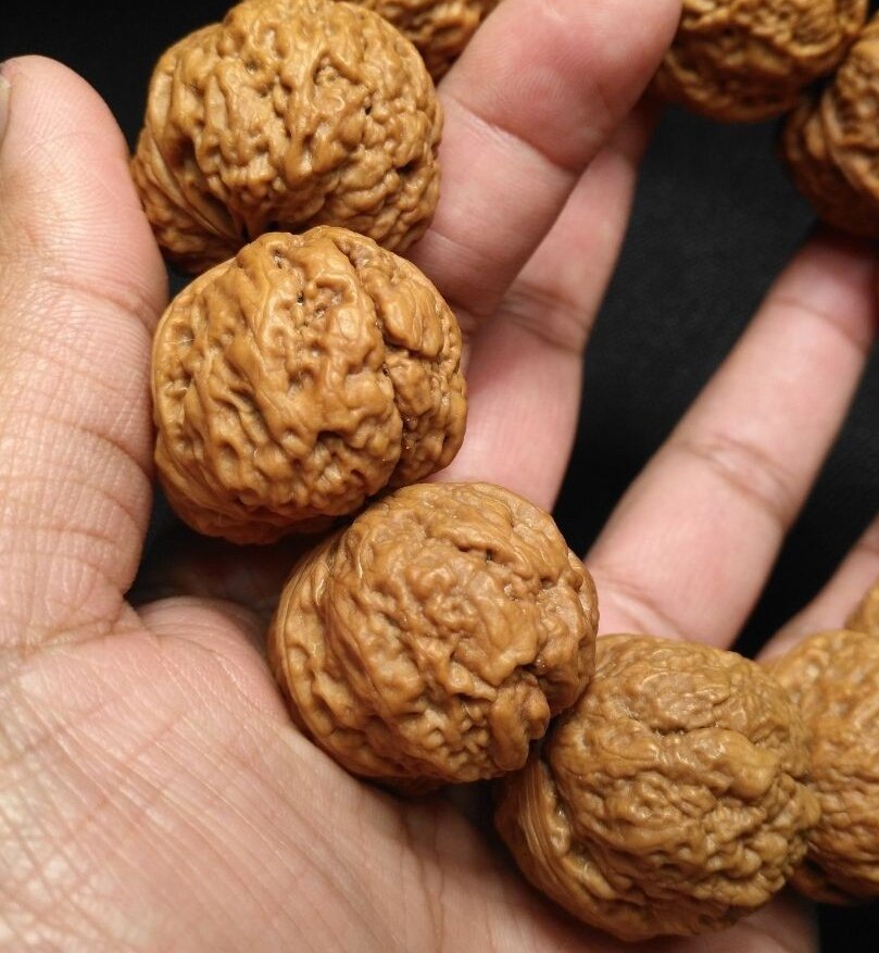 3.3云南野生舍利金蟾疙瘩元宝铁核桃手串手持,矮桩平底,密度高