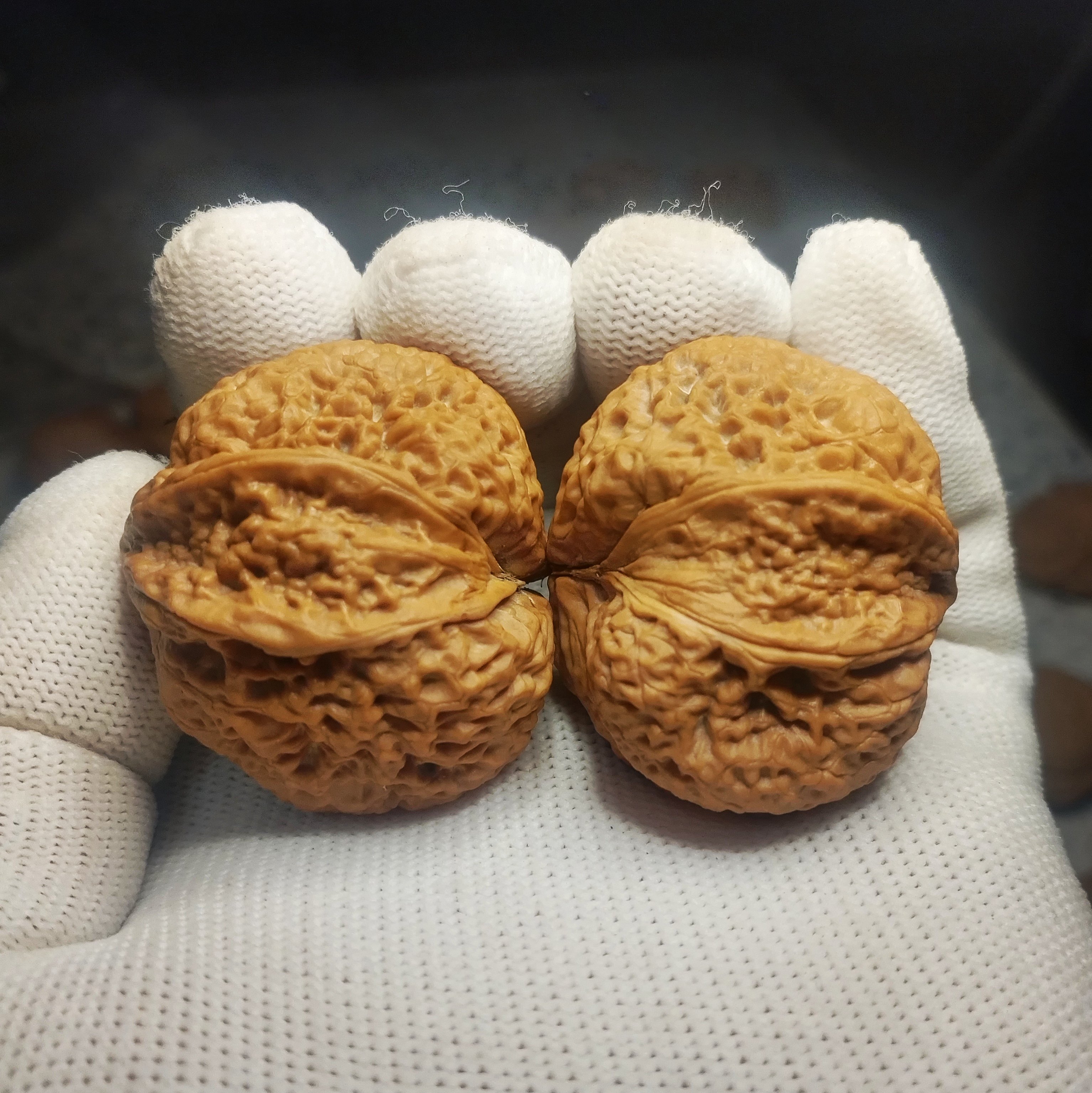 4.1云南野生异型形三棱佛眼铁核桃，文玩核桃把玩核桃,饰品/流行首饰/时尚饰品新,手把件/把玩物,淘宝优惠券,粉丝福利购,淘宝优惠卷