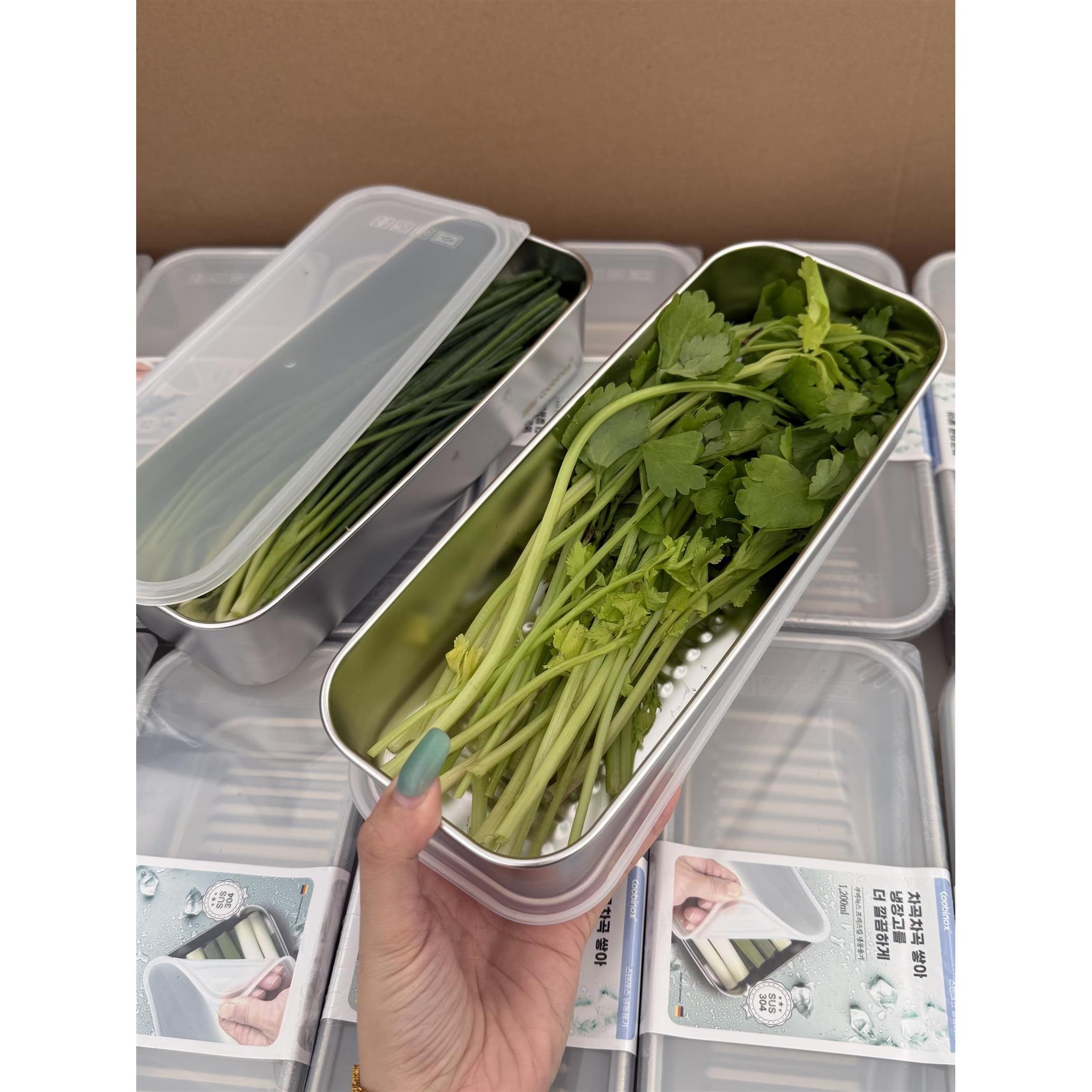 厨房304不锈钢收纳保鲜盒整根葱蒜香菜面条细长保鲜盒密封盒
