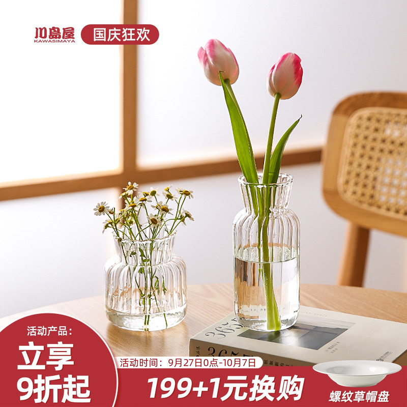 日式风玻璃透明水养桌面小花瓶