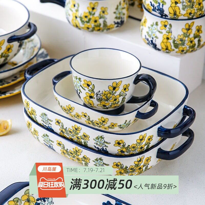 Japanese ceramic tableware, dishes and dishes