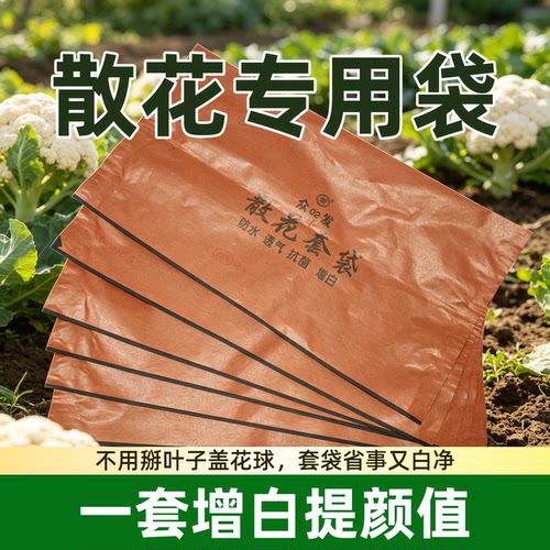 菜花套袋散花单层专用防水防晒放霜冻防虫散花花菜有机纸袋套袋