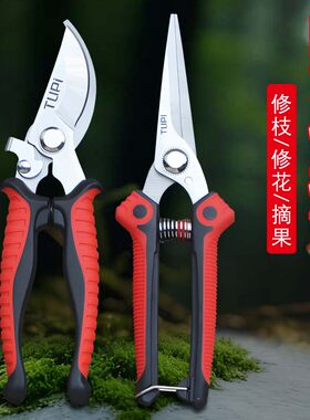 SK5钢修枝剪刀园林果树修剪