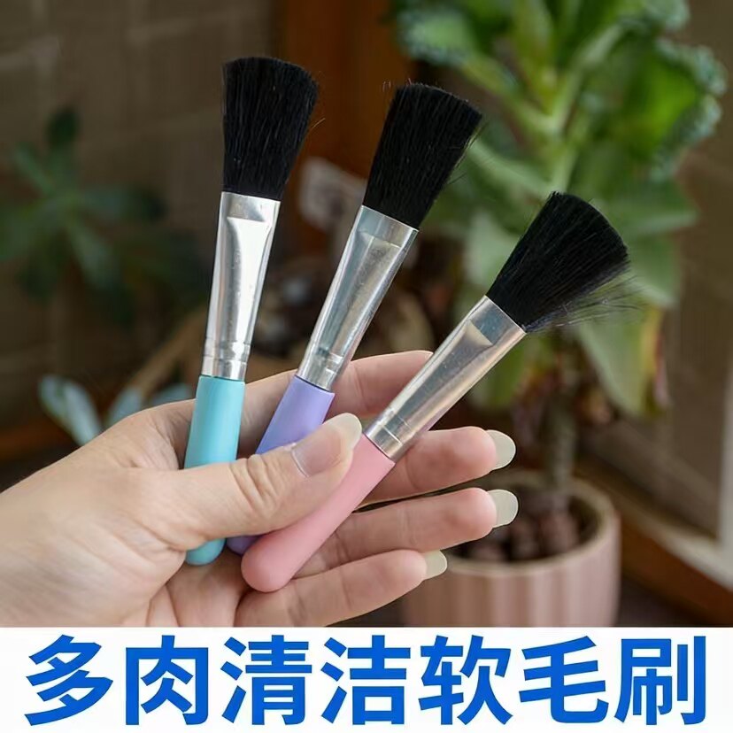 多肉植物苔藓工具软毛绿小叶面除尘清洁刷子园艺盆栽清理除灰小粉