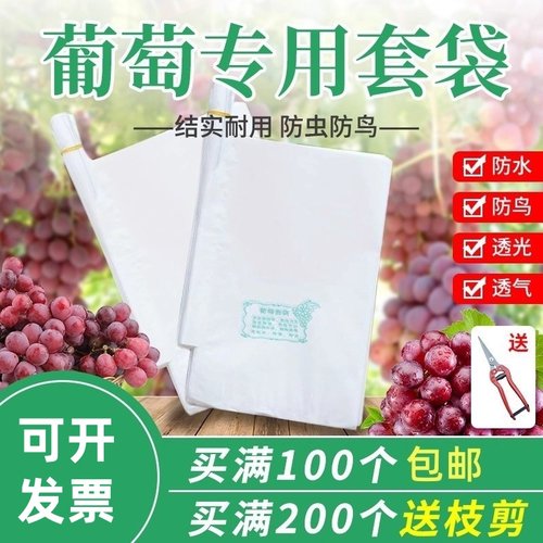 防水葡萄套袋防虫袋育果袋
