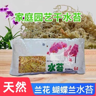 优质水苔无菌干水苔蝴蝶兰花专用营养土苔藓石斛食虫植物乌龟爬宠