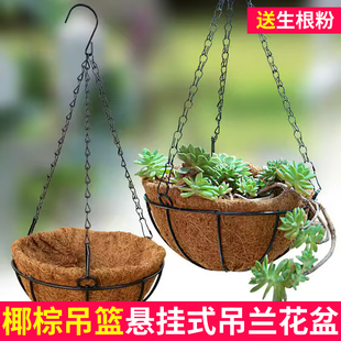 椰棕吊篮花盆悬挂式吊兰花盆创意吊挂专用挂钩绿萝多肉垂吊壁挂盆