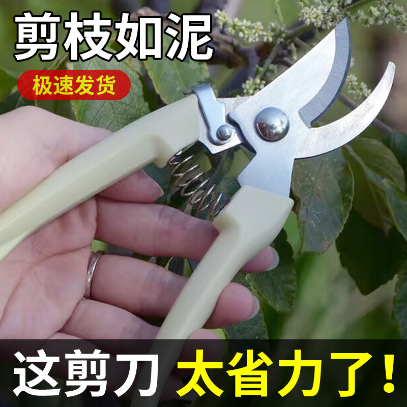 园艺园林工具枝剪防滑手柄花枝剪不锈钢修枝剪花卉稼枝剪园艺剪刀_虎窝淘