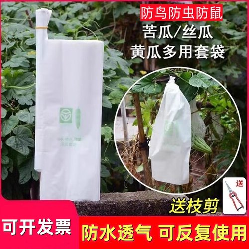 丝瓜黄瓜青瓜苦瓜套袋防虫袋子