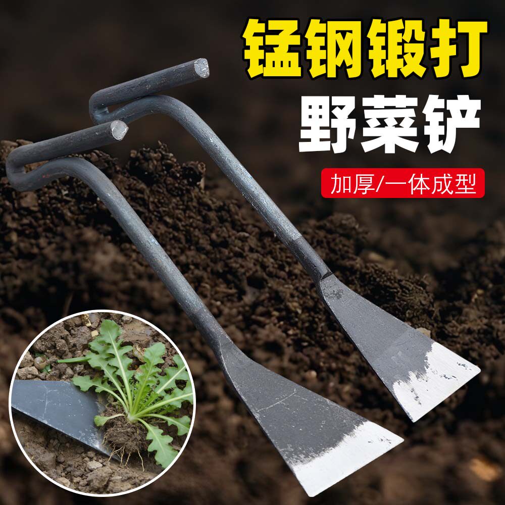 挖野菜的小铲子挖土种菜铁铲子铁锹工具除草老式锄草挖菜农用蒜铲