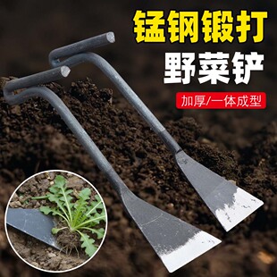 挖野菜的小铲子挖土种菜铁铲子铁锹工具除草老式锄草挖菜农用蒜铲