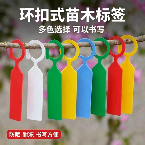 园艺标签插牌吊牌防水环扣植物挂牌标识卡塑料加厚多肉小标签工具