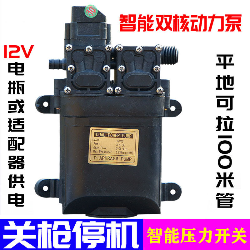 12伏智能水泵带压力开关12V关枪停机喷雾器打药洗车浇花果园撒水