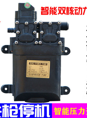 12伏智能水泵带压力开关12V关枪停机喷雾器打药洗车浇花果园撒水