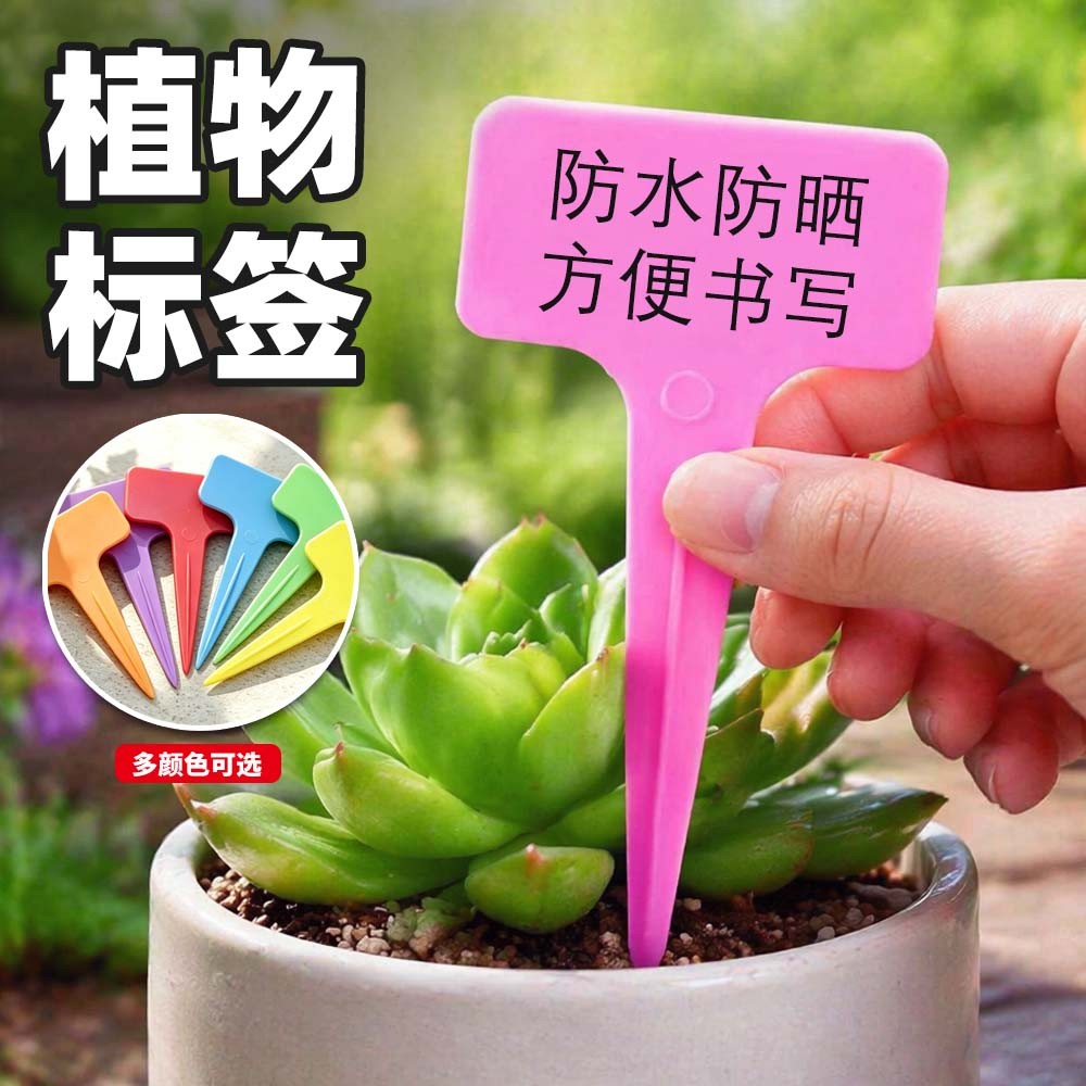 多肉标签T型防水1字型插牌园艺植物花卉塑料标记标识牌小标注神器