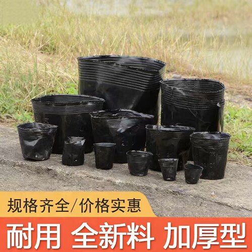 营养钵育苗盆种植穴盘花盆营养杯