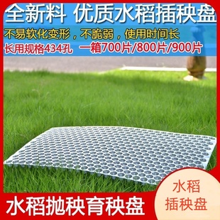 塑料水稻育秧盘9寸机插平盘塔式手抛稻苗秧盘谷物育苗盆透明434孔