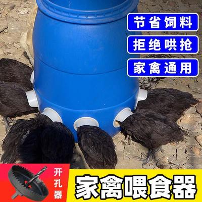 家禽自动喂食器鸡鸭鹅专用养鸡