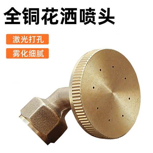 农用高压喷头全铜雾化打药泵