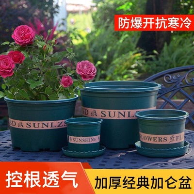 加仑盆加厚绿色印花花盆绿萝绿植