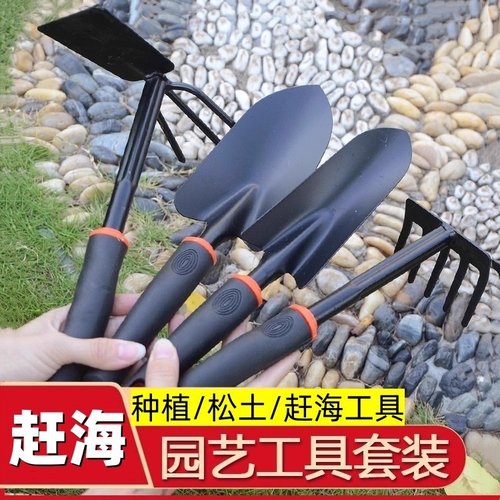 多肉套装种菜栽园艺家用养花