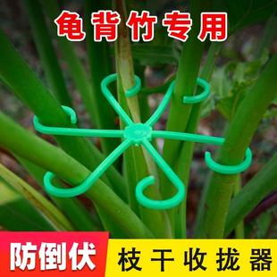 龟背竹支撑杆花支撑架枝干收拢架植物防倒伏支架绿植花架固定神器