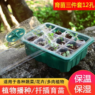 育苗箱12孔塑料育苗盒三件套温室育苗园艺工具提高出芽率 加厚款