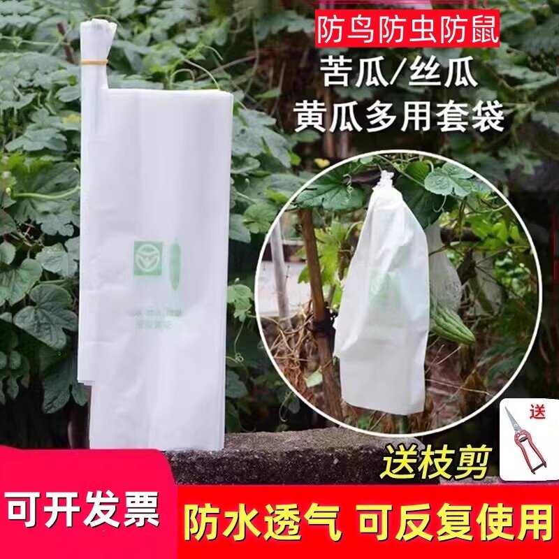 丝瓜黄瓜青瓜苦瓜套袋防果蝇防虫袋子保护套纸袋防水瓜果蔬菜水果
