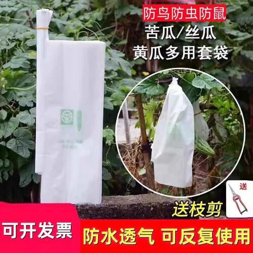 丝瓜黄瓜青瓜苦瓜套袋防虫袋子