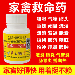 强效兽用一粒活猪牛羊咳嗽鸡鸭鹅感冒发烧畜禽流鼻涕急救正品