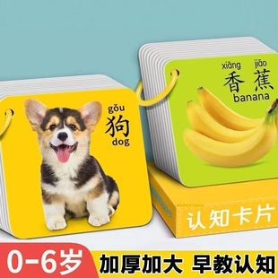 宝宝早教学习卡片幼儿童看图识字撕不烂数字英语拼音动物认知启蒙