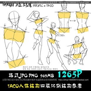 taco人体结构身体角度四肢比例手足头绘画临摹参考资料美术CG素材