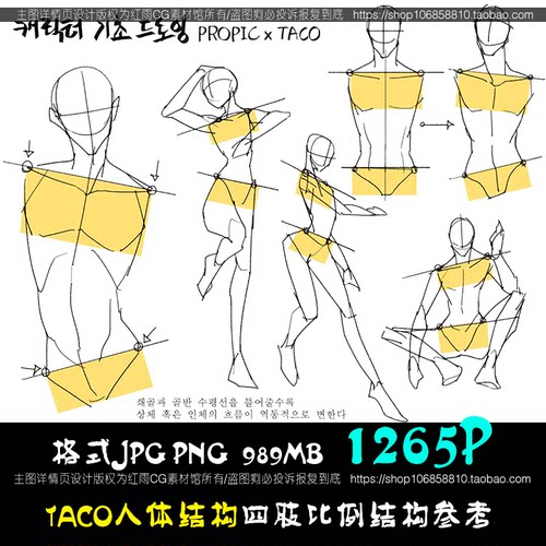 taco人体结构身体角度四肢比例手足头绘画临摹参考资料美术CG素材