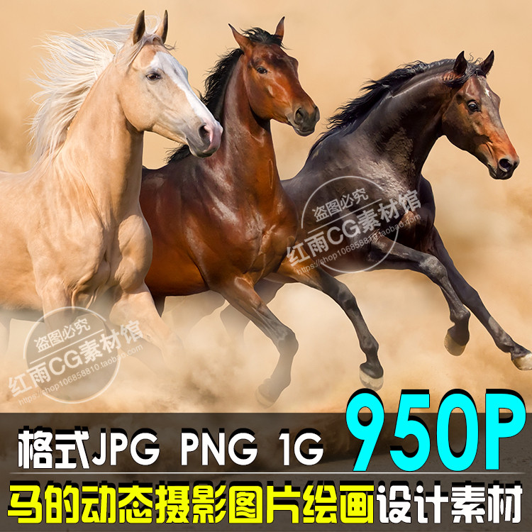 马的动态摄影参考图集绘画设计素材动物马临摹插画美术cg高清资料