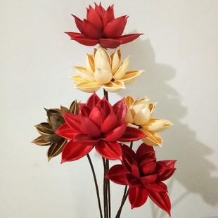 饰花家居摆设 木槿莲干莲蓬干花真花莲花云南干花花束仿真花客厅装