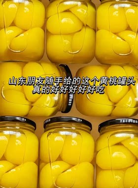 【半价到手一箱】黄桃罐头510g一大瓶新鲜水果罐头老年零食整箱发