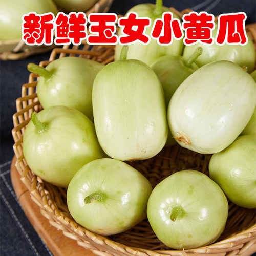 山东新鲜玉女当季现摘拇指黄瓜
