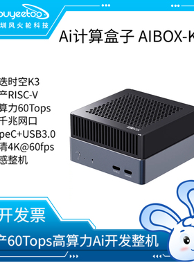 firefly AIBOX-K3计算盒子ARM国产大模型主机进跌时空SpacemiT K3